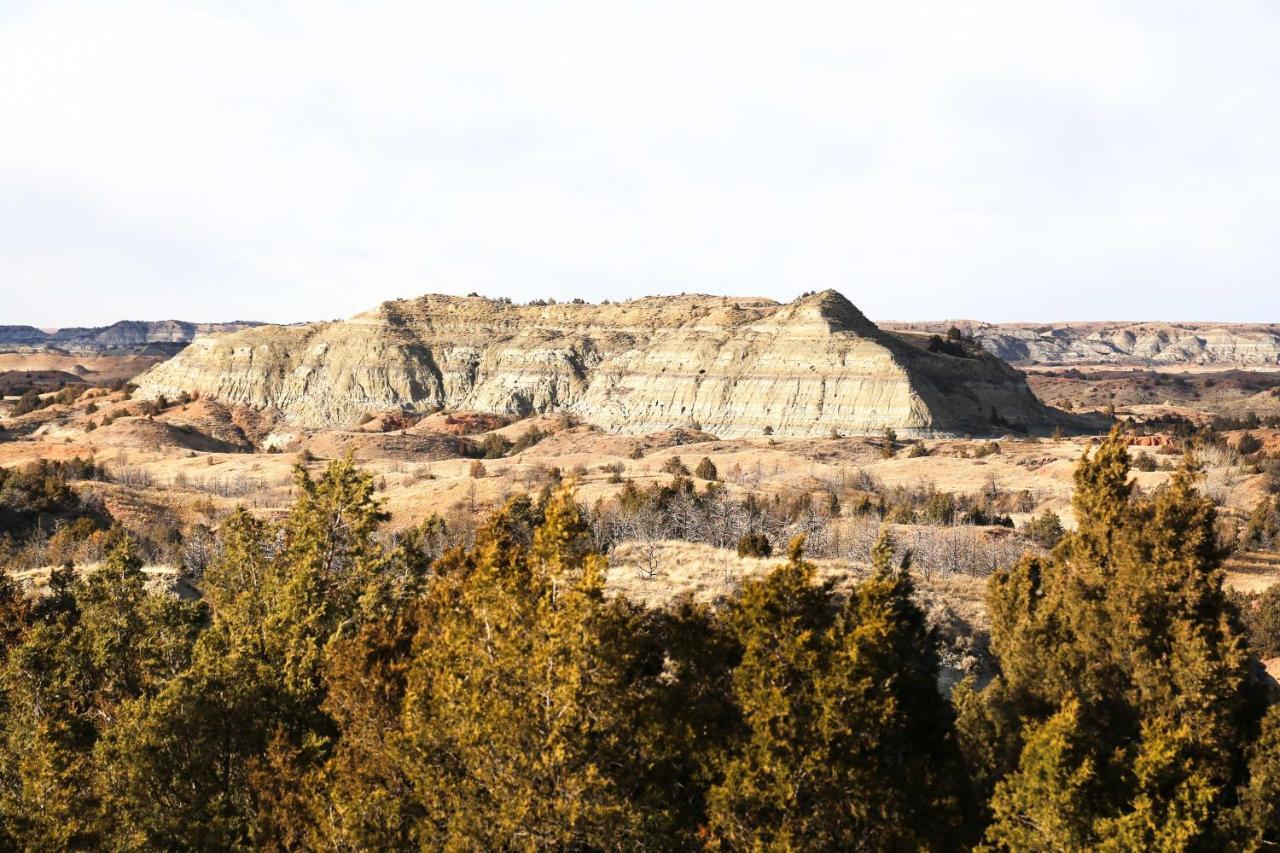 Badlands Suite Less Than 1 Mi To Teddy Roosevelt Park! ميدورا المظهر الخارجي الصورة
