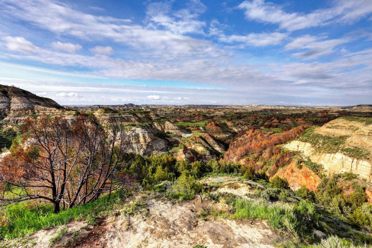 Badlands Suite Less Than 1 Mi To Teddy Roosevelt Park! ميدورا المظهر الخارجي الصورة