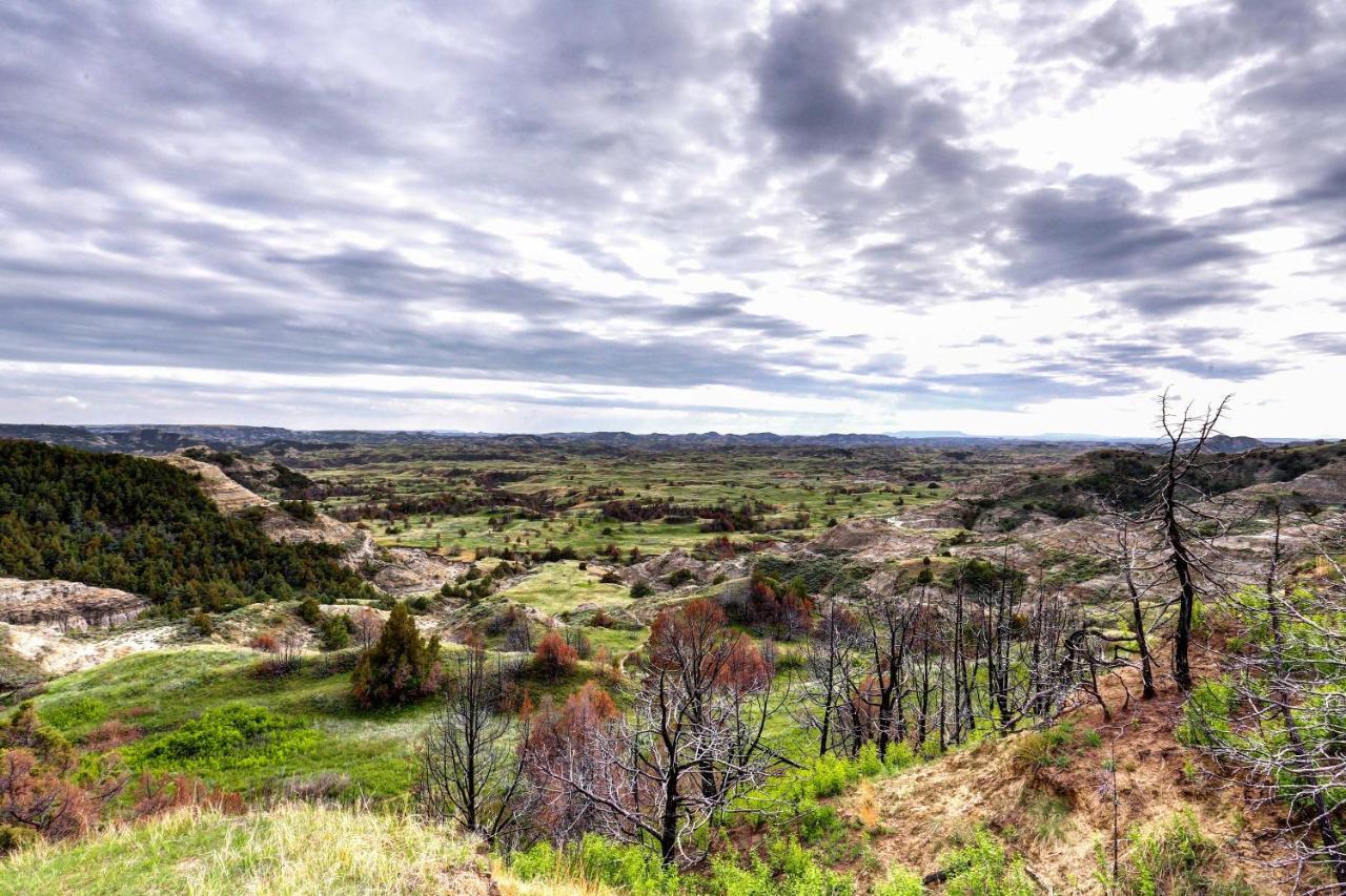 Badlands Suite Less Than 1 Mi To Teddy Roosevelt Park! ميدورا المظهر الخارجي الصورة